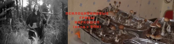 ешки Алзамай