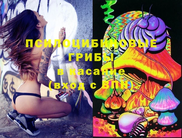 ешки Алзамай