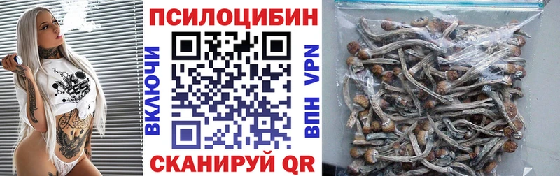 Псилоцибиновые грибы мицелий  цены наркотик  Дорогобуж 